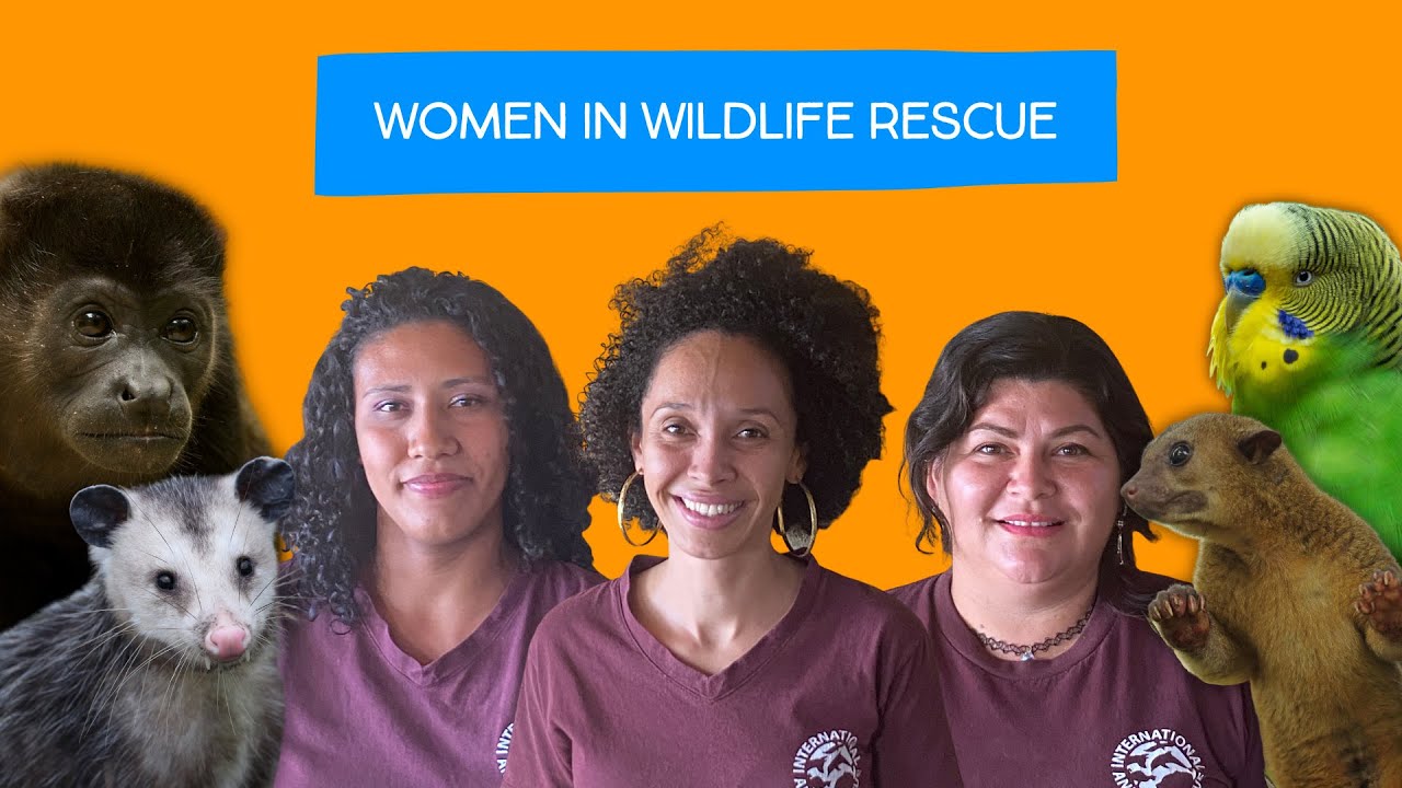 Women in Wildlife Rescue: Inspiring Stories of Strength and Resilience