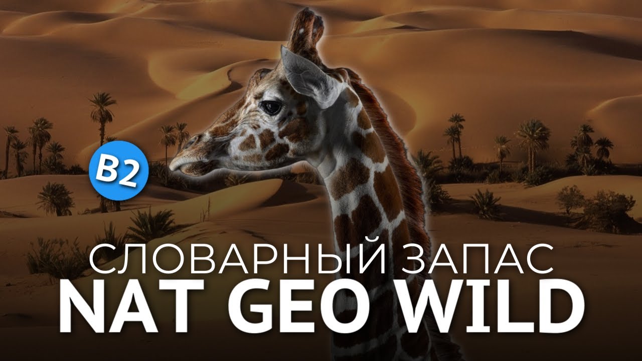 СЛОВАРНЫЙ ЗАПАС АНГЛИЙСКОГО - ЖИРАФЫ (Nat Geo Wild)