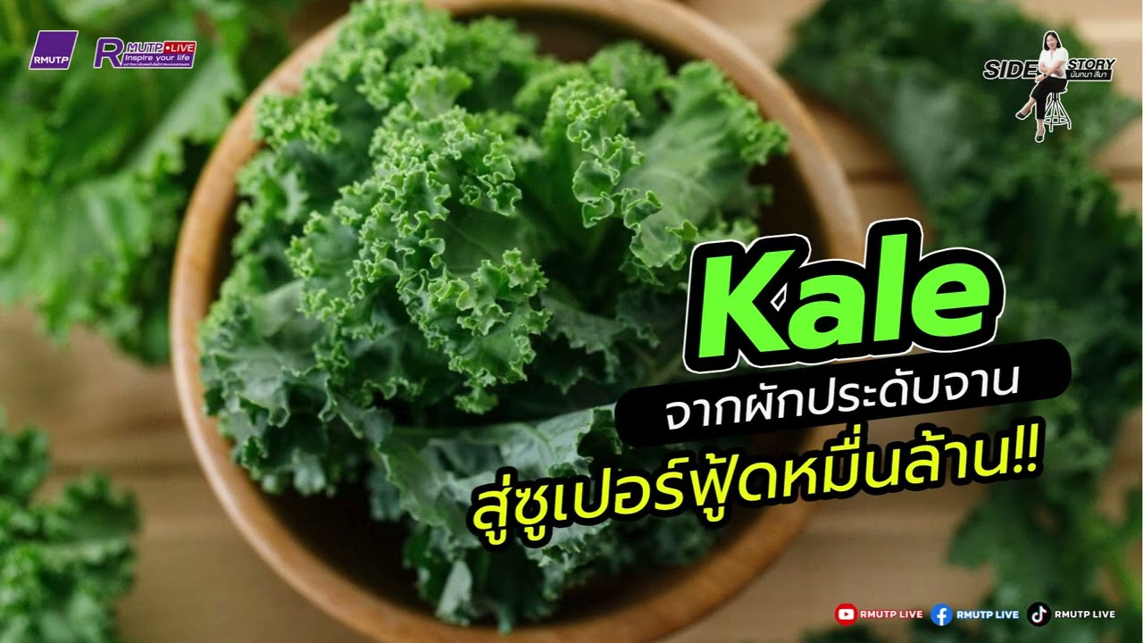 Side Story  เปิดตำนานราชินีผักใบเขียว (Kale )จากผักประดับจาน สู่ซูเปอร์ฟู้ดหมื่นล้าน
