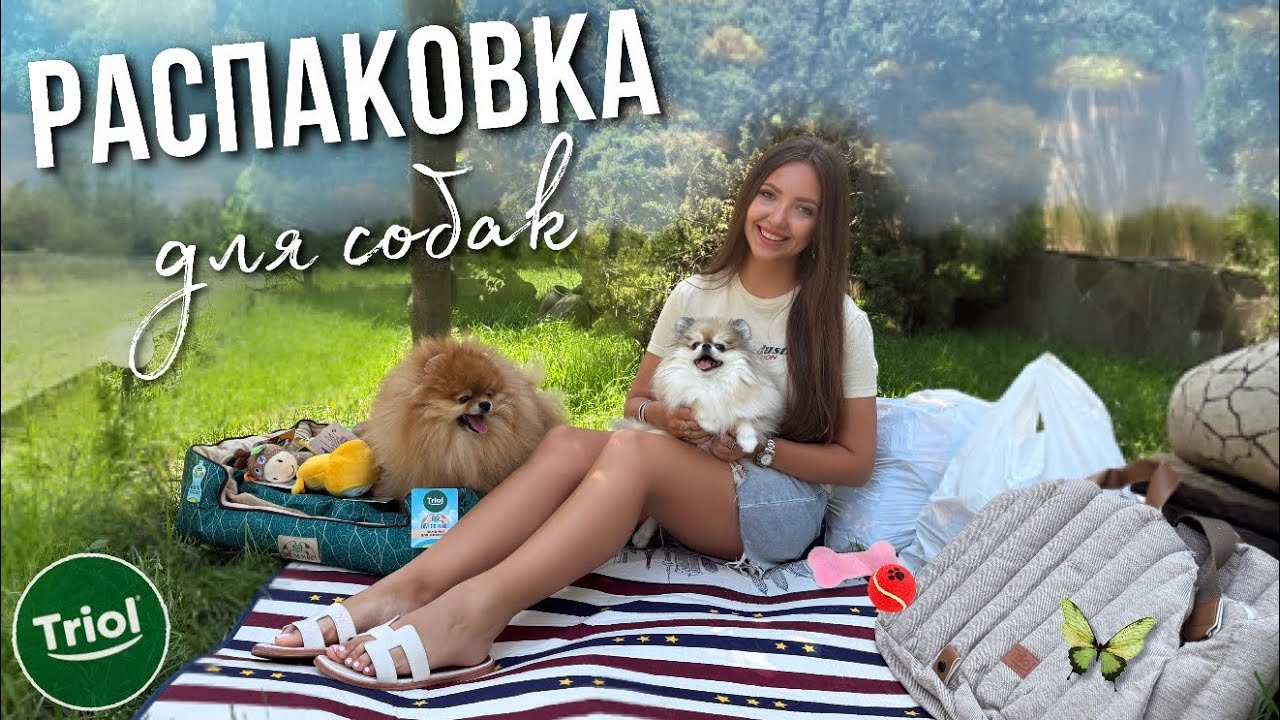 Летняя распаковка товаров для животных 🐾 Лежанки, игрушки, вкусные новинки от TRIOL 🐶