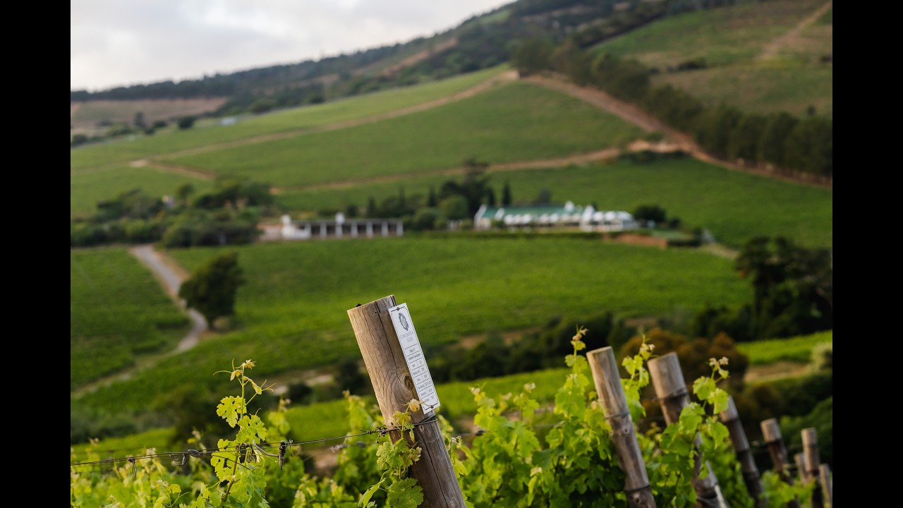 Constantia Glen Estate, Constantia, South Africa