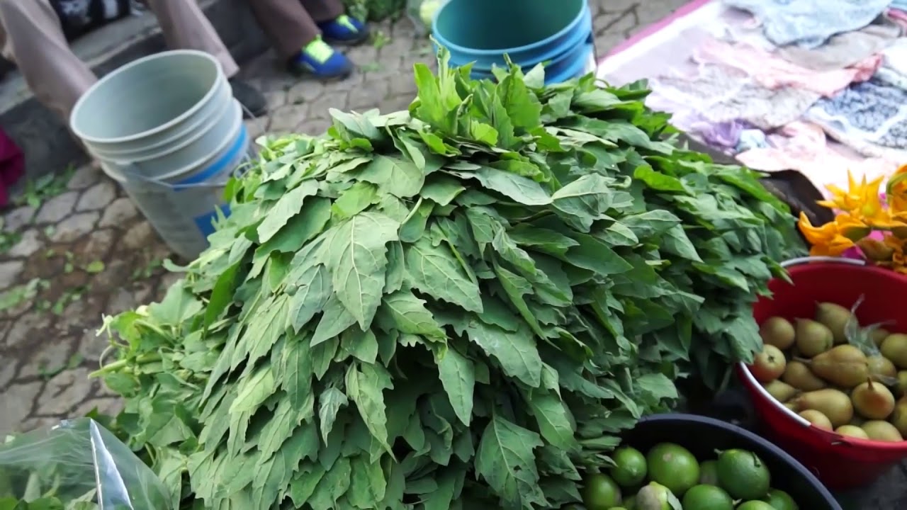 Quelites. Historia de sabores y saberes.