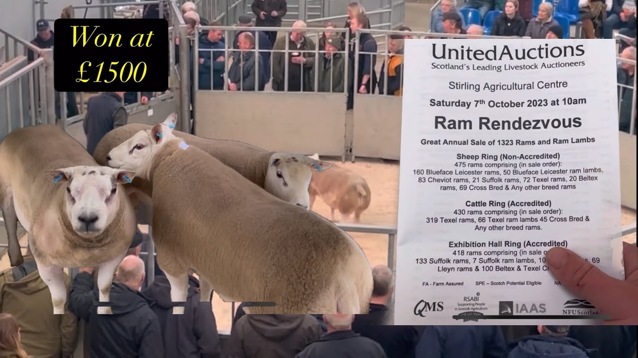RAM sales, it cost How Much???