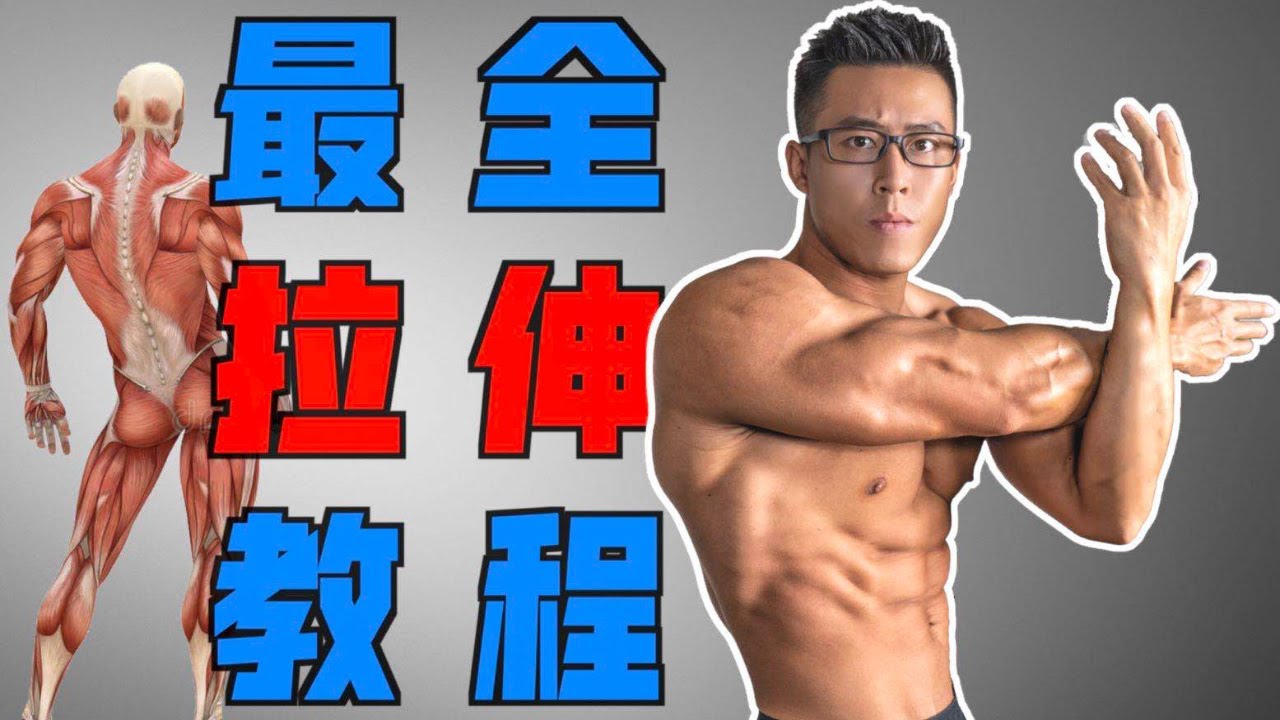 拉伸不對，健身白費 I 最全拉伸教程，建議趕緊收藏！ 【埃里克】