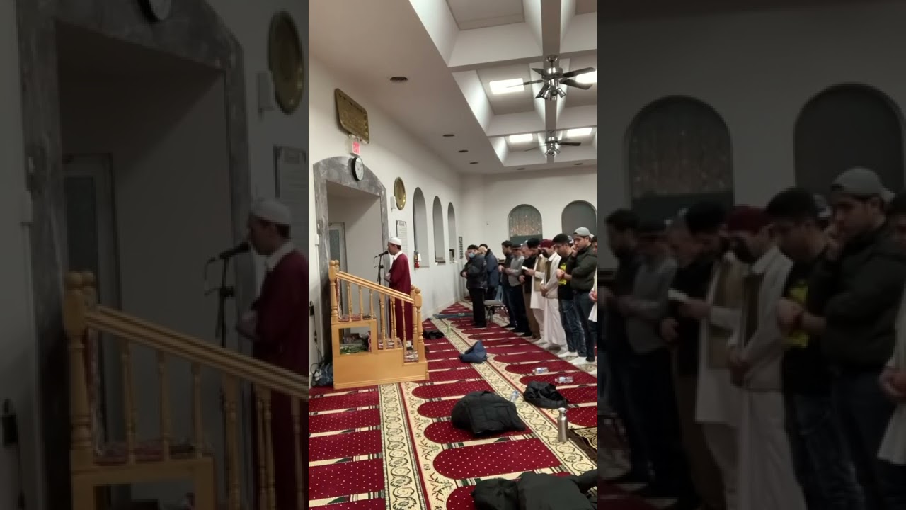 إبداع القارئ: عباس سافار