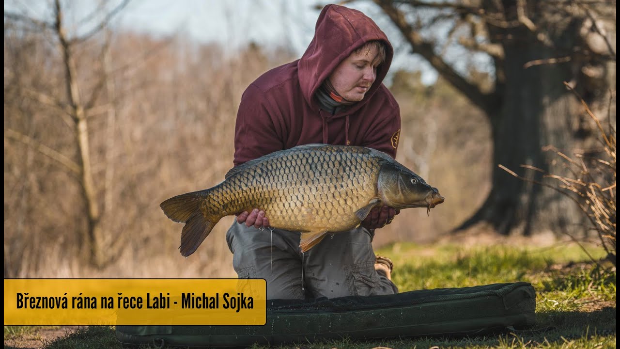 Březnová rána na řece Labi - Michal Sojka Lov Kapra