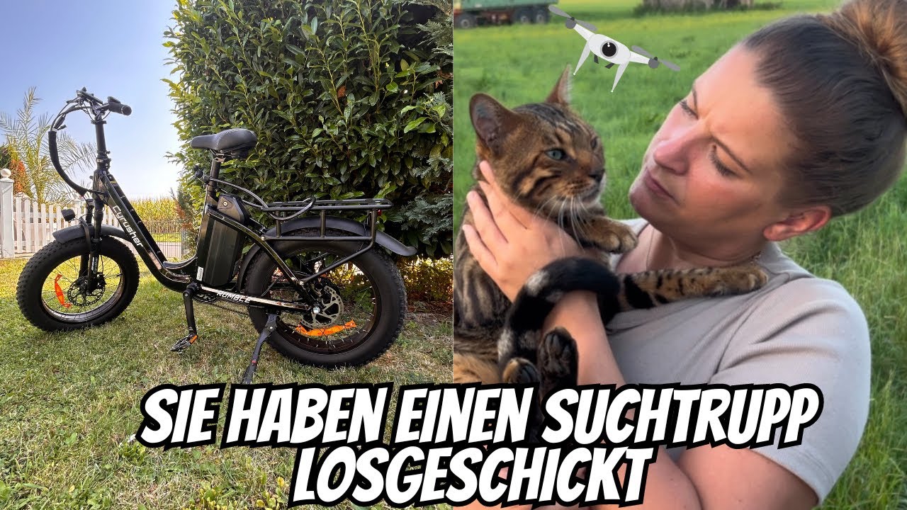 Such mein Bengal Kater mit dem Cyrusher Rumble und zusätzlich mit der Drohne..