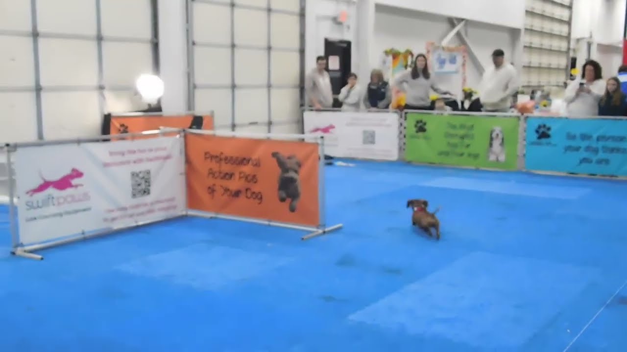 Flapjack tries out the Lure Course!