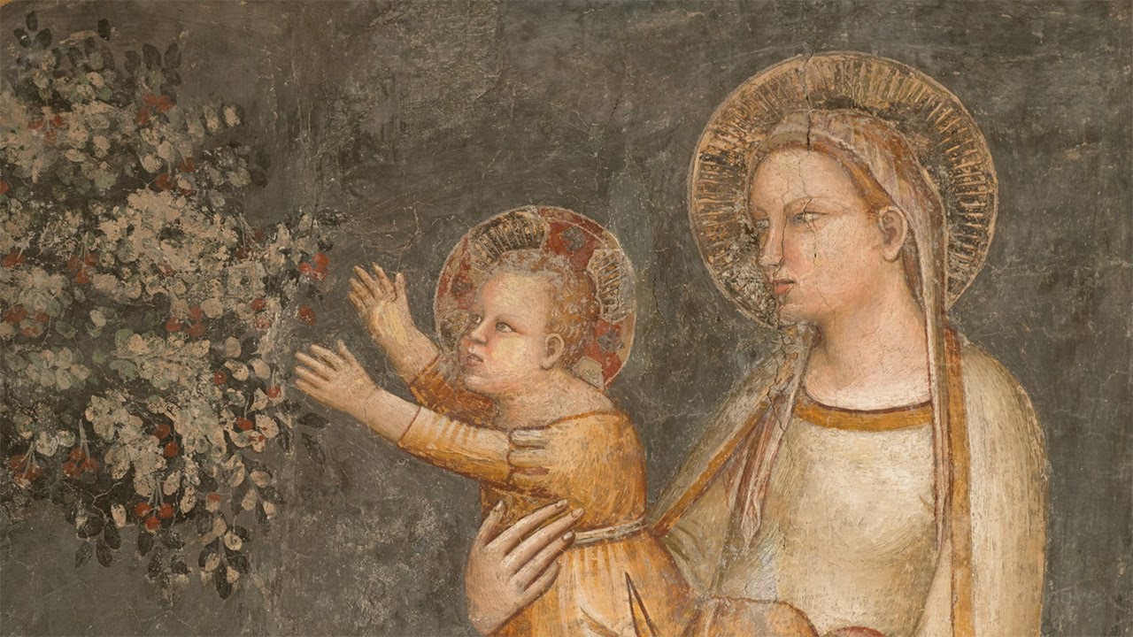 Sgarbi San Domenico