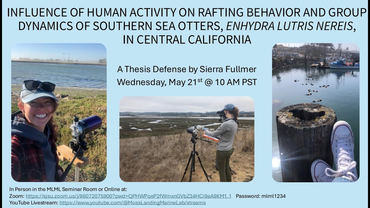 Sierra Fullmer: Influence of Human Activity on Rafting Behavior and Group Dynamics of Southern Sea..