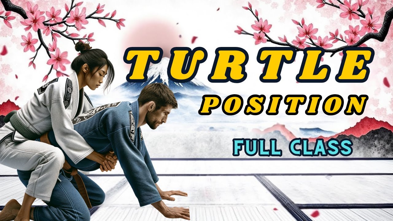 How to Use Turtle Position / Full Class 3-4 