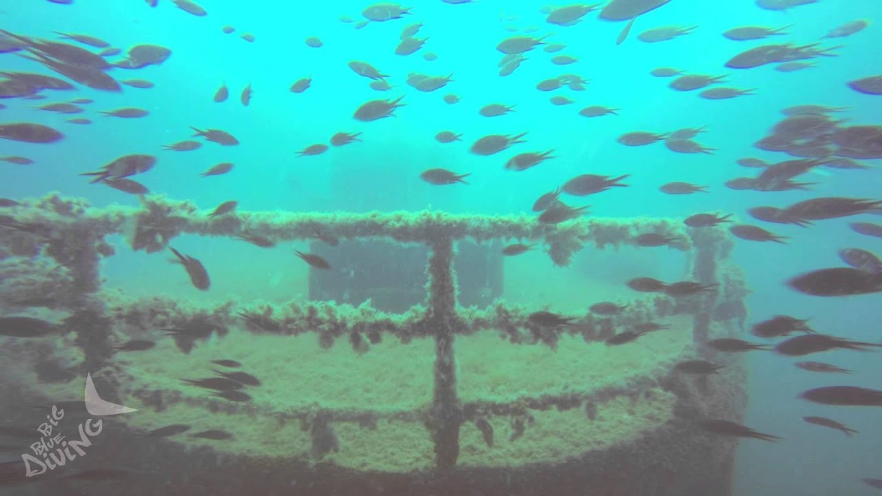 Big Blue Diving Mallorca - 