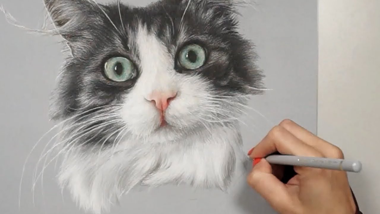 Colored Pencil Drawing: Cat with green eyes - Speed Draw | JosYMovieS