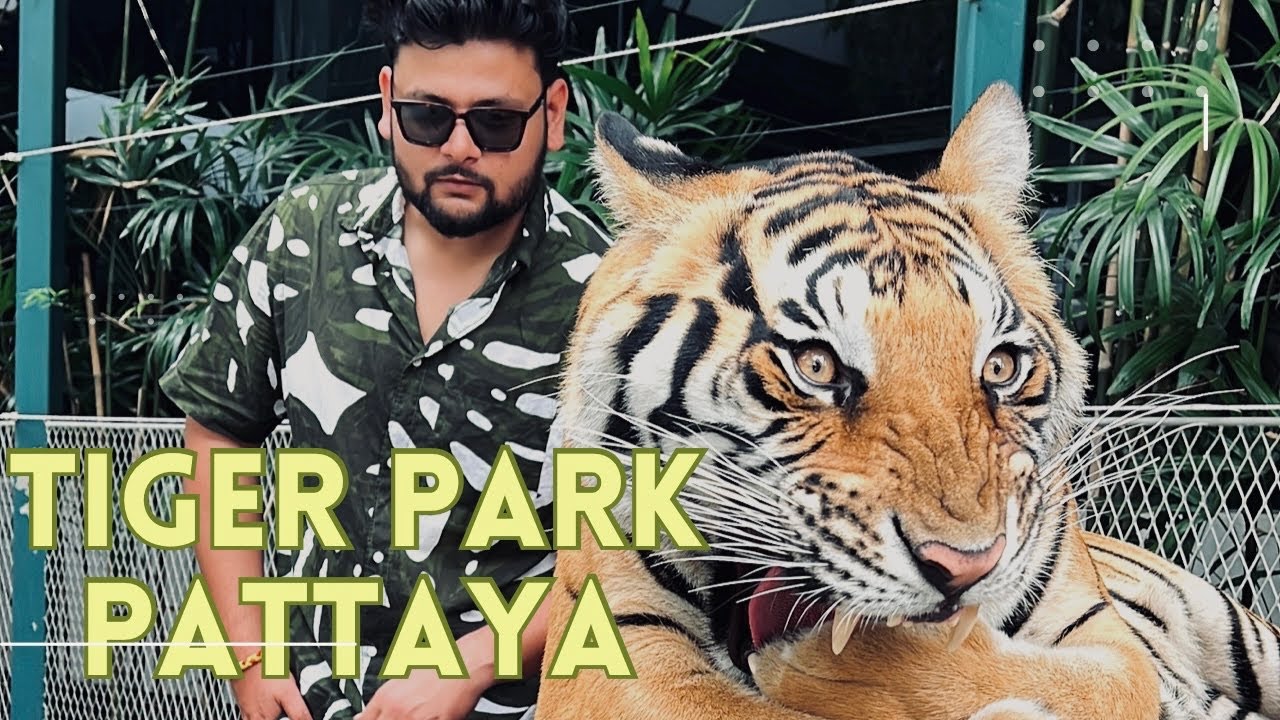 Tiger gusse mein aa gya 🐯