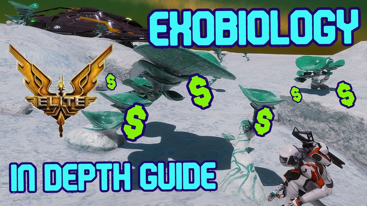 Elite In Depth Guide | Экзобиология 2024 | Легкий заработок для новичков: 200–400 млн в час | Кос...