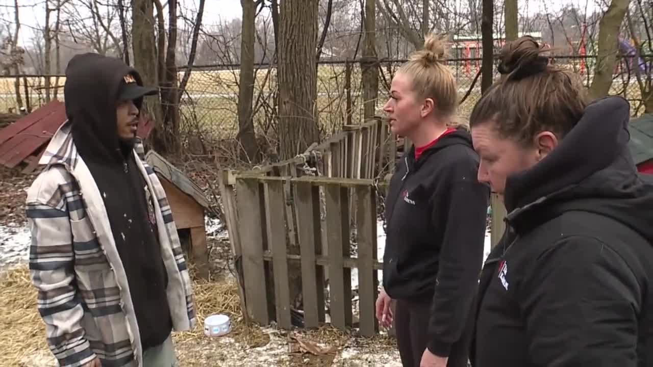 Detroit’s 'KARENs' rescue dogs from cold, say the city must to do more