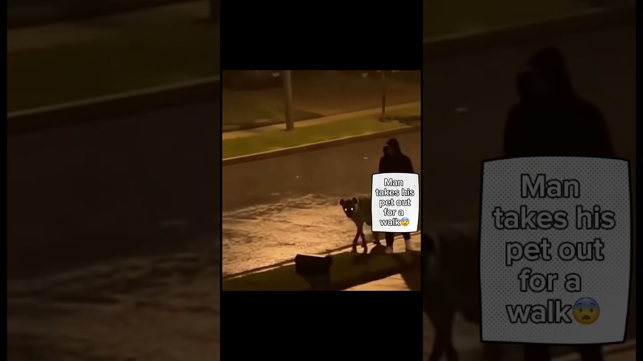 Man casually takes out his hyena on a walk ￼