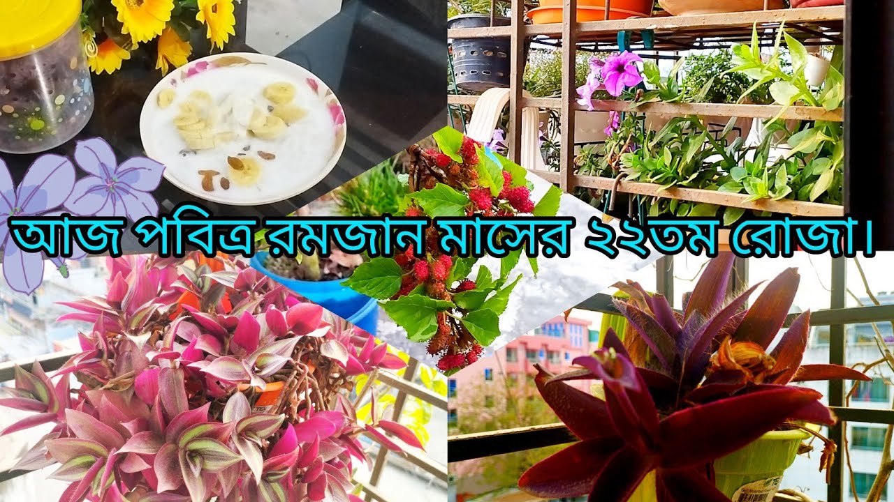 রান্না যখন সীমানা পেরিয়ে প্রতিবেশীর মন জয় করে! তখন মনে আলাদাই এক শান্তি বিরাজ করে। 