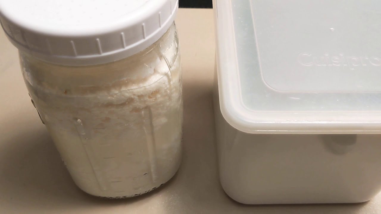 Milk Kefir: Separating Your Curds and Whey After Fermentation