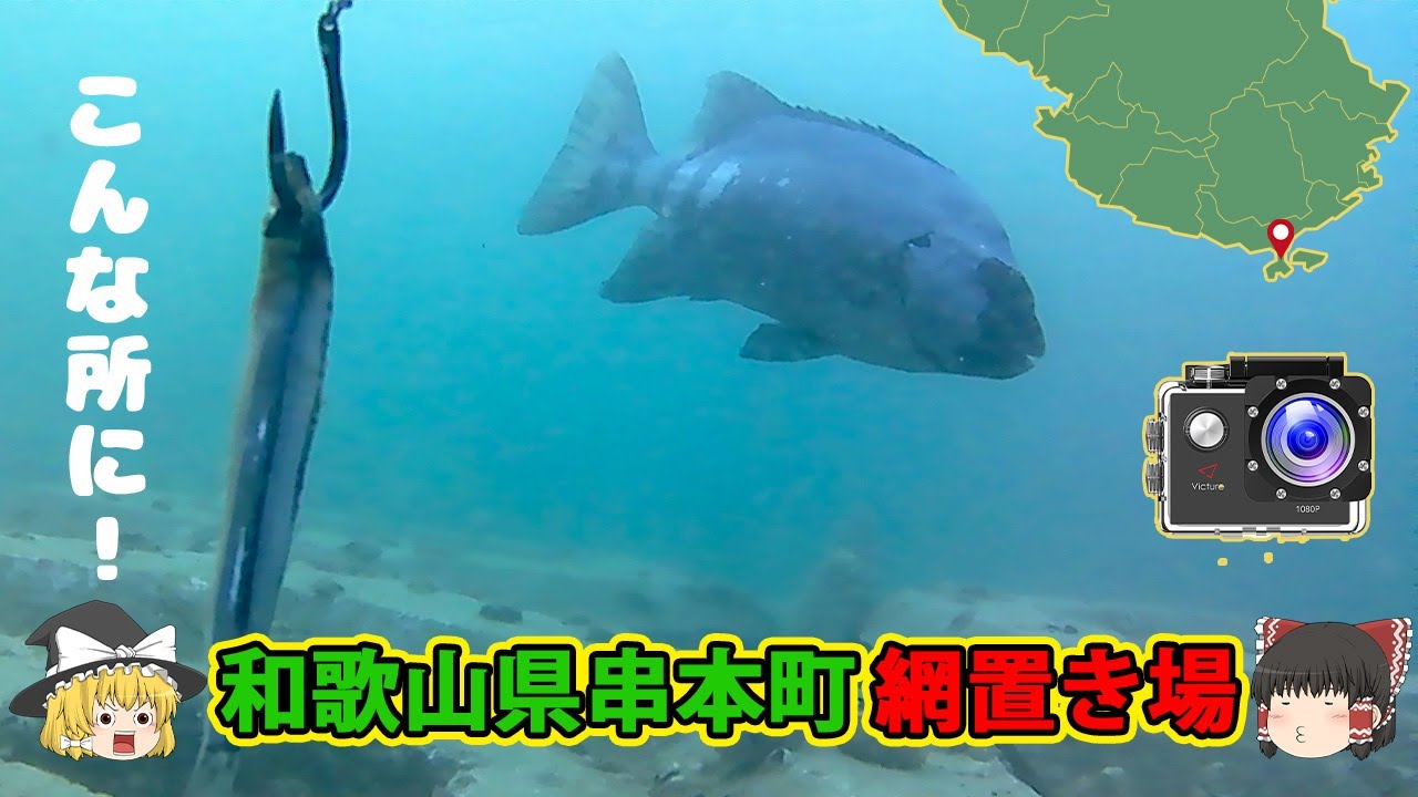 【水中映像】和歌山県串本町網置き場　アジやアオリイカ、グレ等いろいろな魚が釣れるスポット　サビキ釣りには最適
