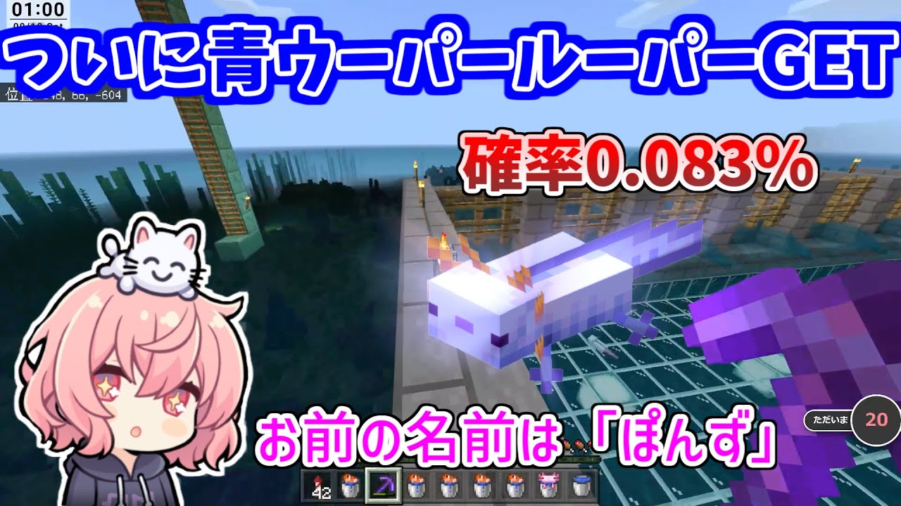 ついに青ウーパールーパーを手に入れたなるせ【Minecraft】【nqrse切り抜き】
