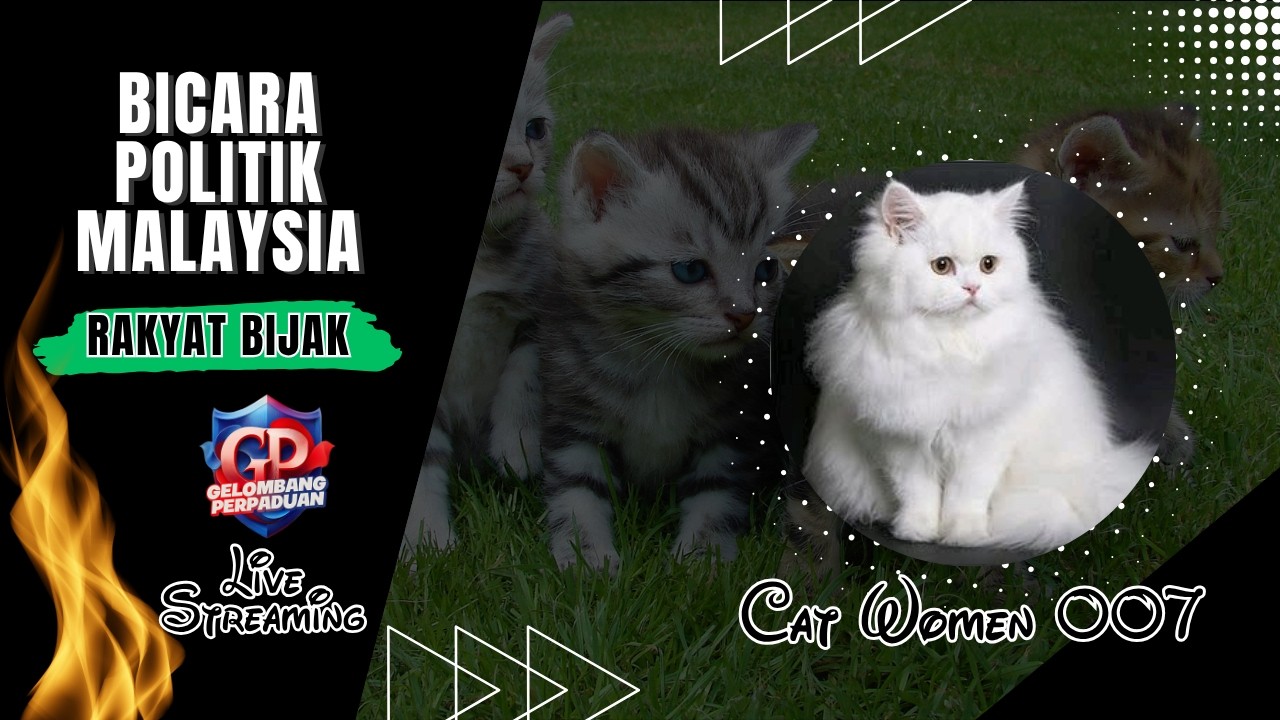LIVE Sesi Petang 8/2/26 - Cat Women 007