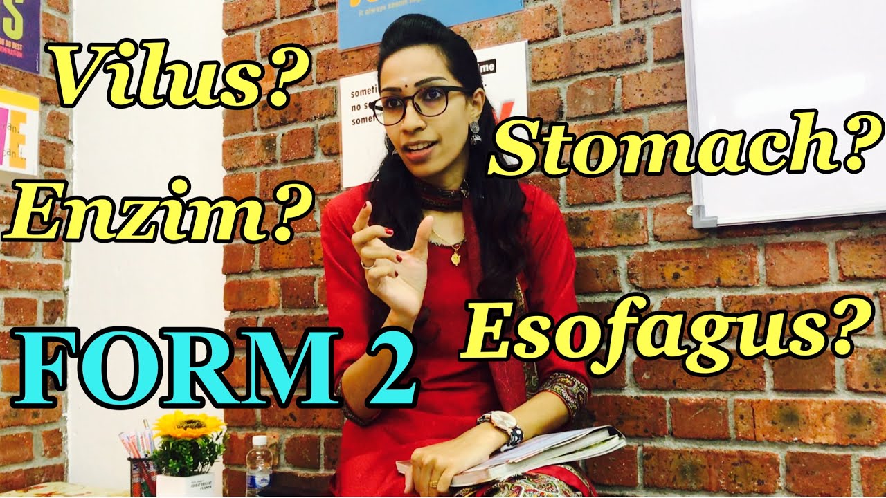 BAB 3: NUTRITION | 3.3 Sistem Pencernaan Manusia | SAINS TINGKATAN 2 | SCIENCE FORM 2 | PT3 |