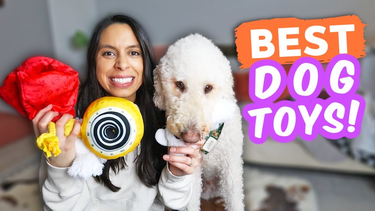 BEFORE Buying Another Dog Toy, WATCH THIS!! 😮 Plus, BarkBox Unboxing!