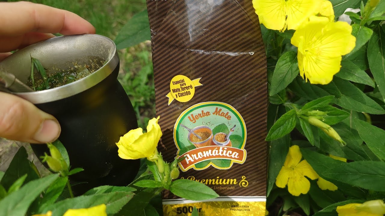 Полнометражный обзор: yerba mate Aromatica - Paraguay