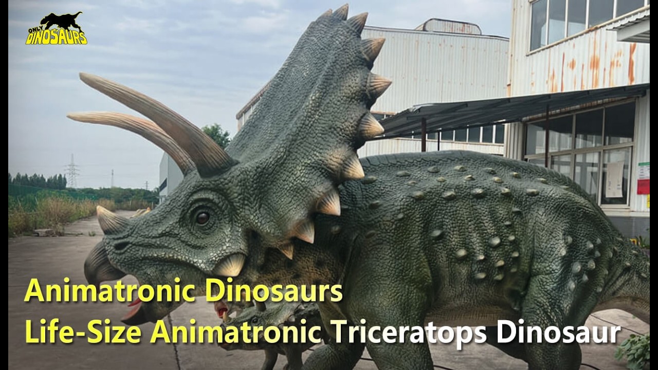 Life-Size Animatronic Triceratops Dinosaur