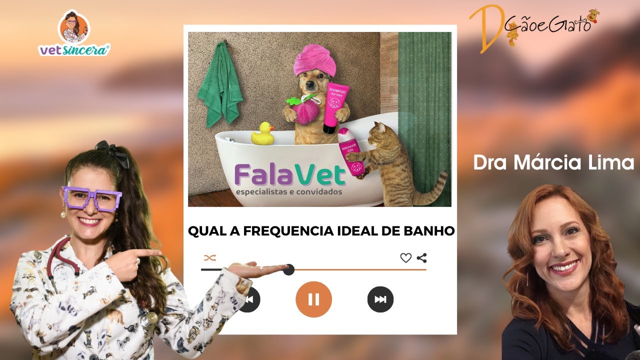 Qual a frequência ideal de banho em cães e gatos! Posso dar banho no meu cachorro toda semana?