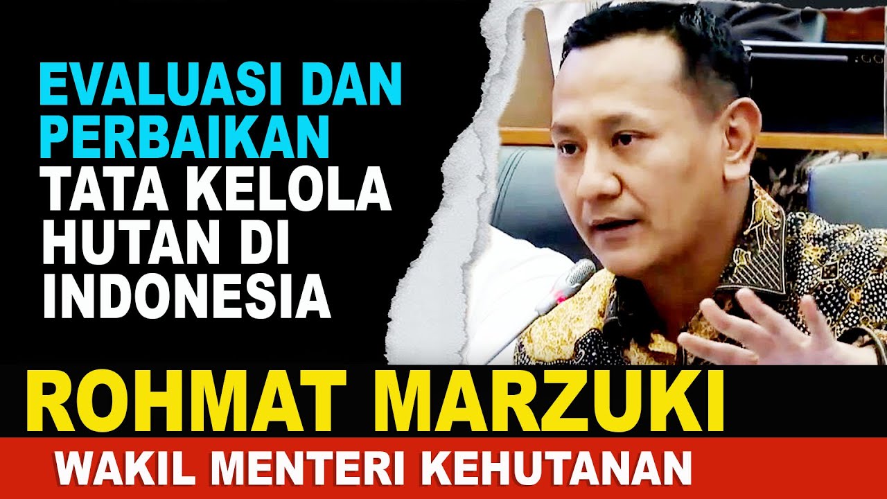 Wakil Menteri Kehutanan Rohmat Marzuki: Evaluasi dan Perbaikan Tata kelola Hutan Di Indonesia !