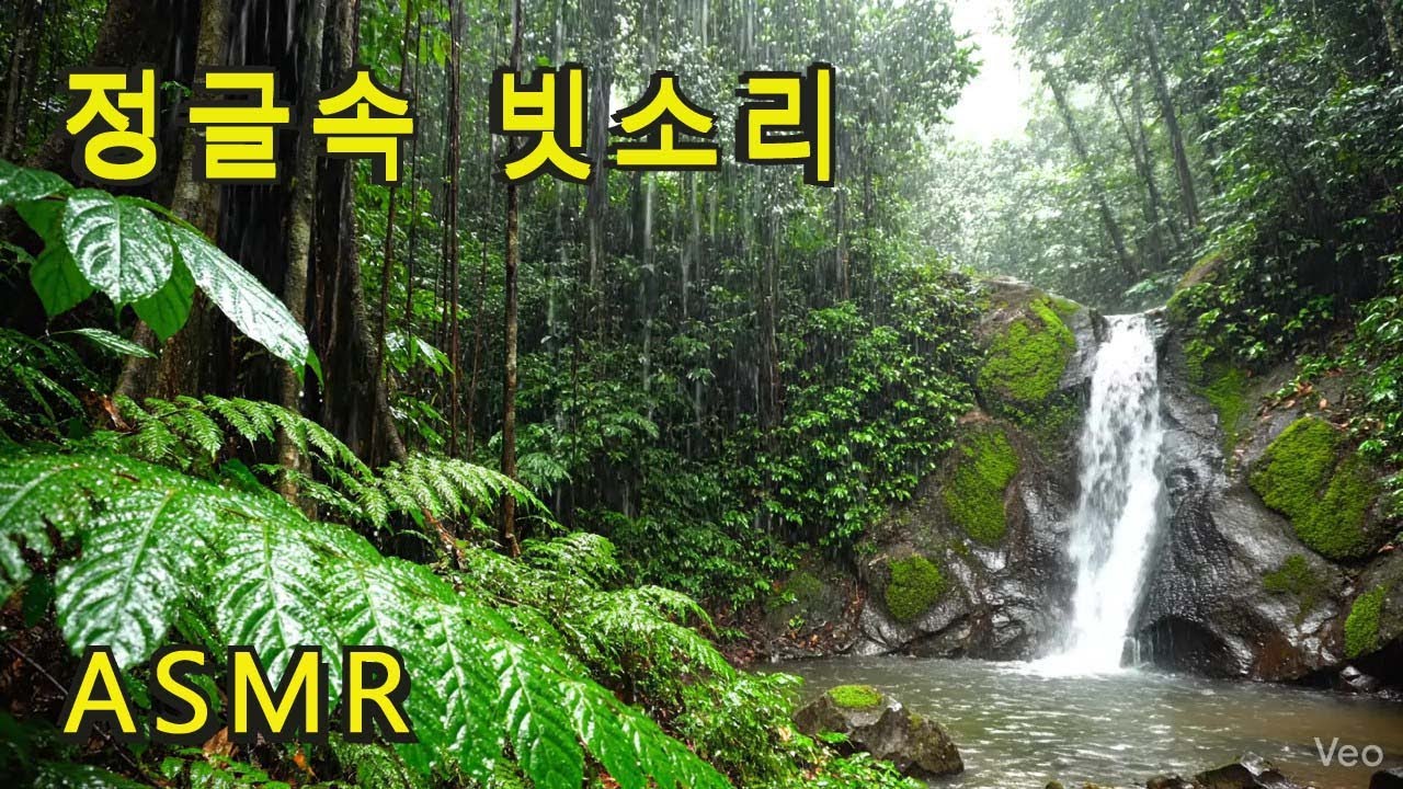 ASMR, 정글속 빗소리, 잠이 오는 영상, deep sleep rain, 백색소음, 힐링 영상, 불면증 치유, 빗소리, 폭우, the sound of rain