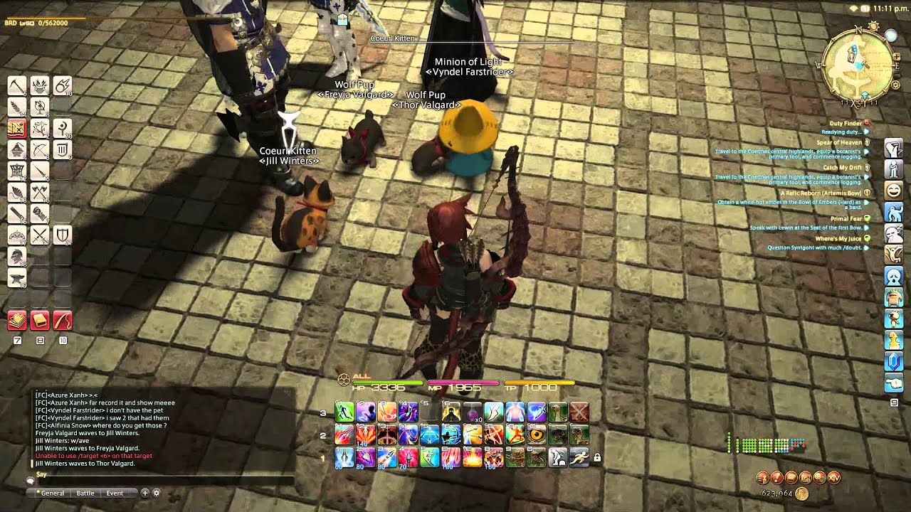 Final Fantasy XIV: A Real Reborn - Minion Interaction