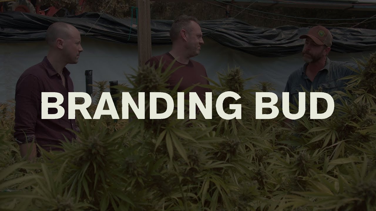 Branding Bud - Episode 04