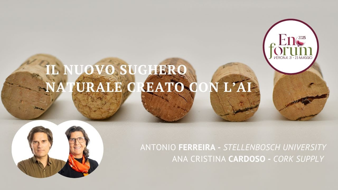Come l&rsquo;AI ha creato il sughero naturale con la maggior uniformit&agrave; al mondo