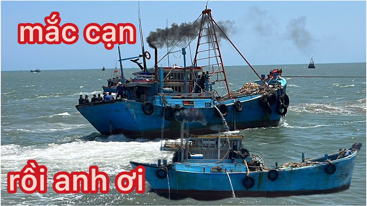 những pha ra cửa đầy táo bạo của những cặp giã cào đôi tại cửa biển / lagi 