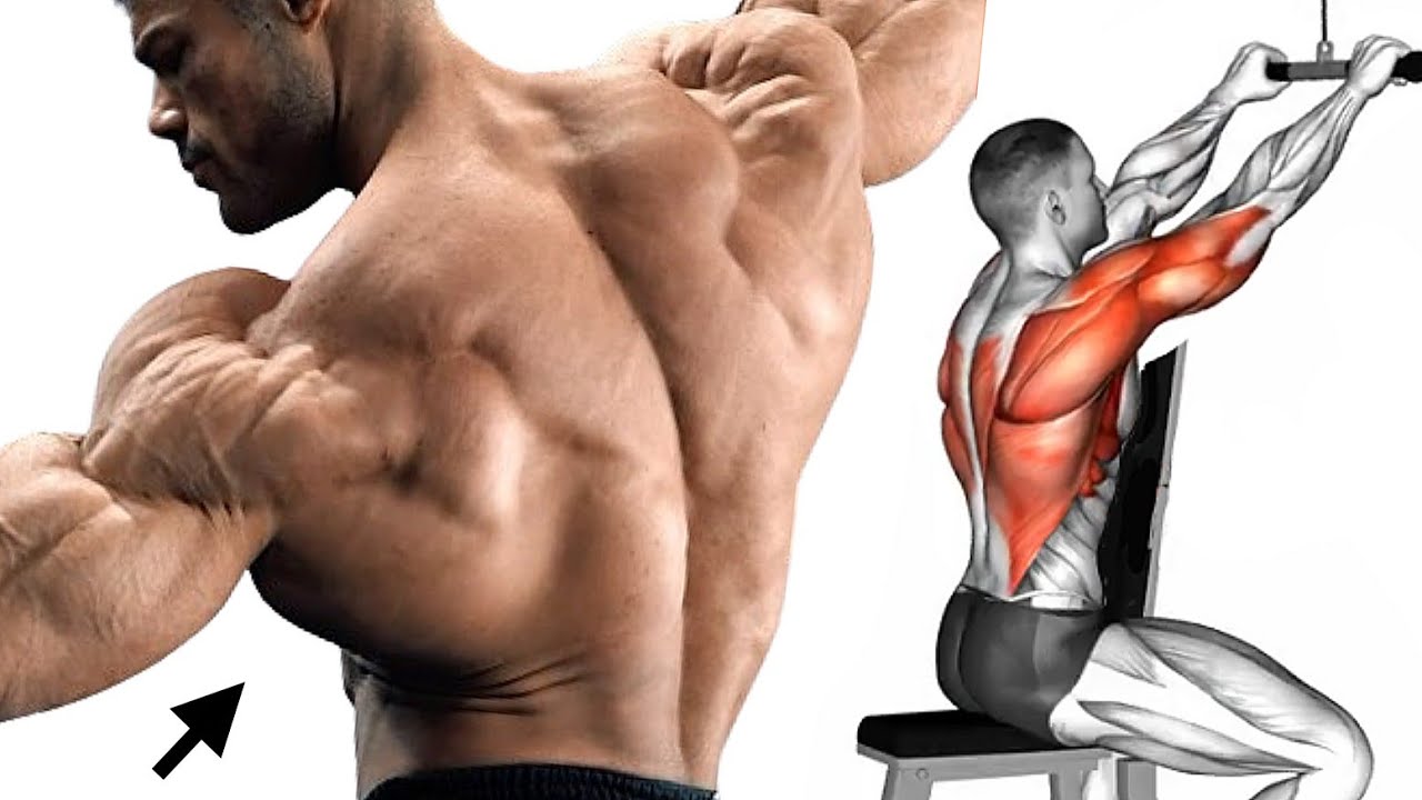 Complete Back Workout Gym for Width and Thickness