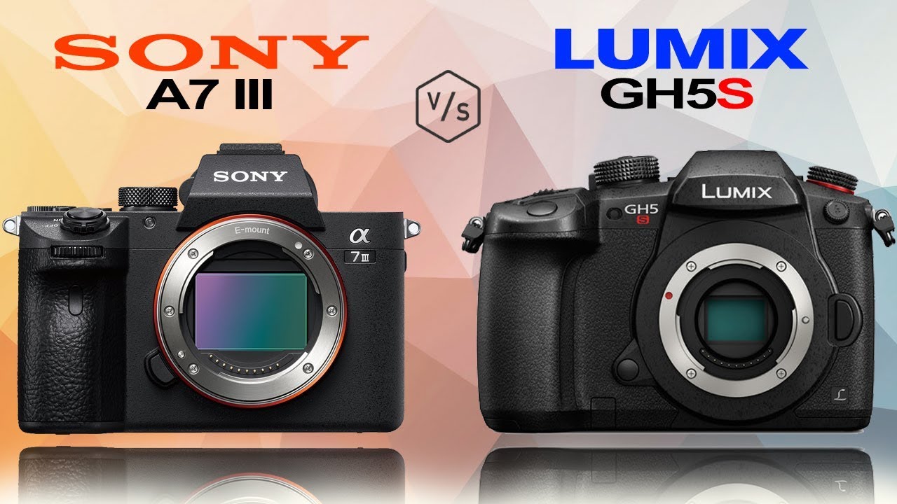 SONY Alpha A7 III vs Panasonic LUMIX GH5S