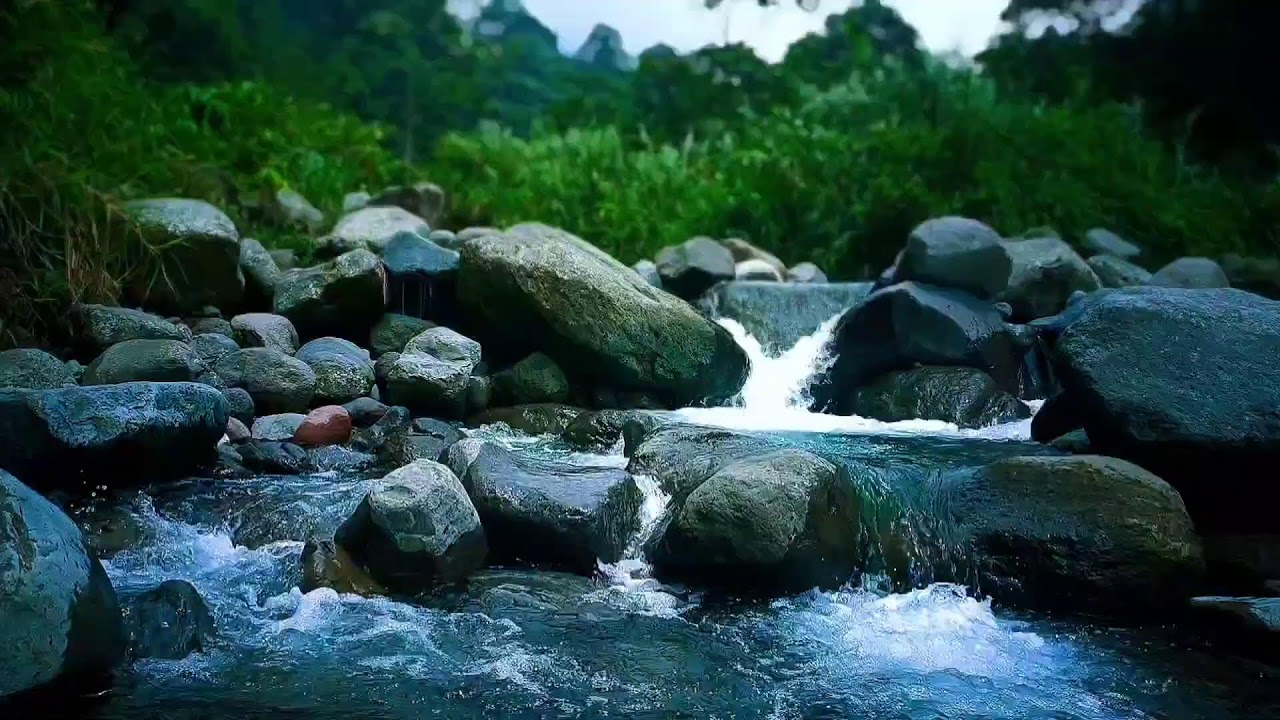 🍃 Calm River Crossing ASMR Sounds for Deep Sleep, Relaxation & Mental Calm