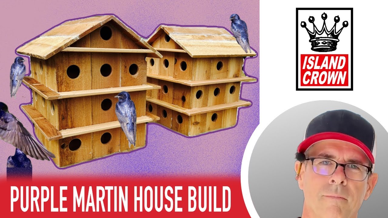 Строительство 28-комнатного дома Purple Martin