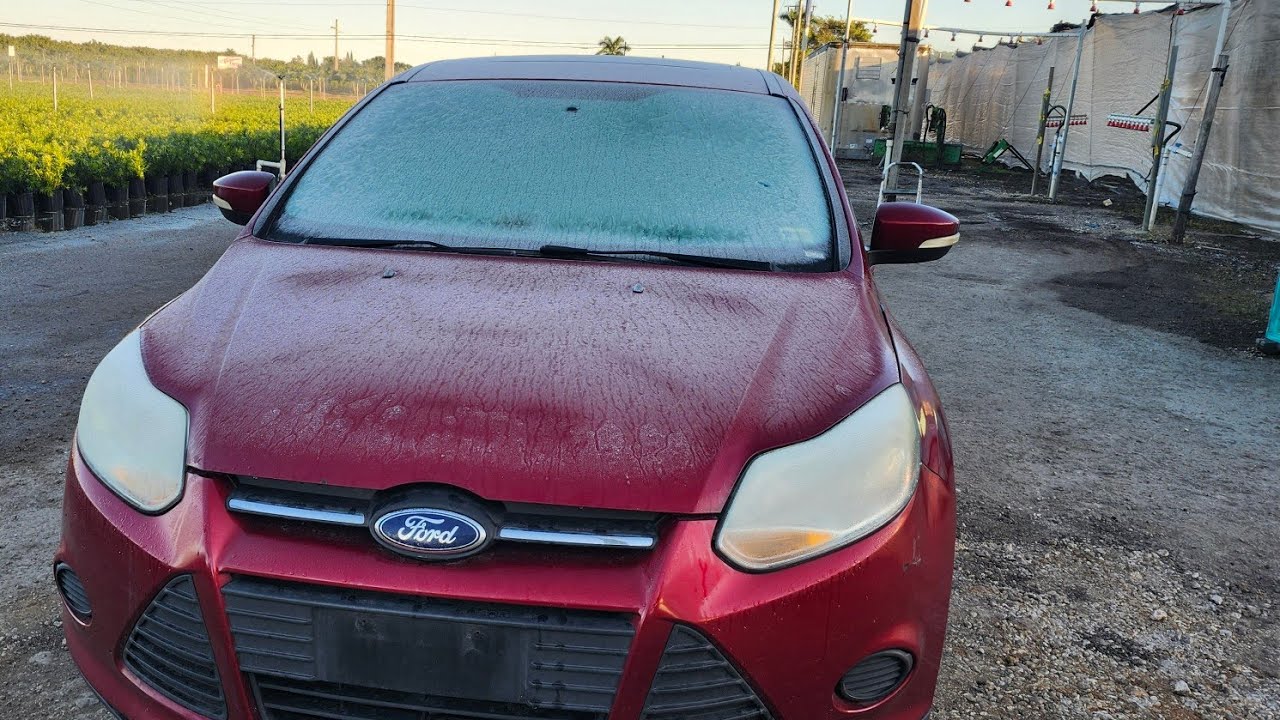 Temperaturas históricas en el sur de la Florida. 