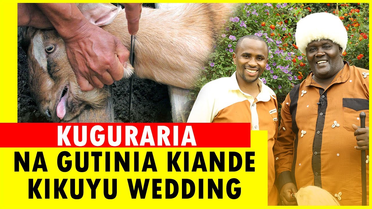 KUGURARIA NA GUTINIA KIANDE  UGURANI WA MUGIKUYU (KIKUYU DOWRY)