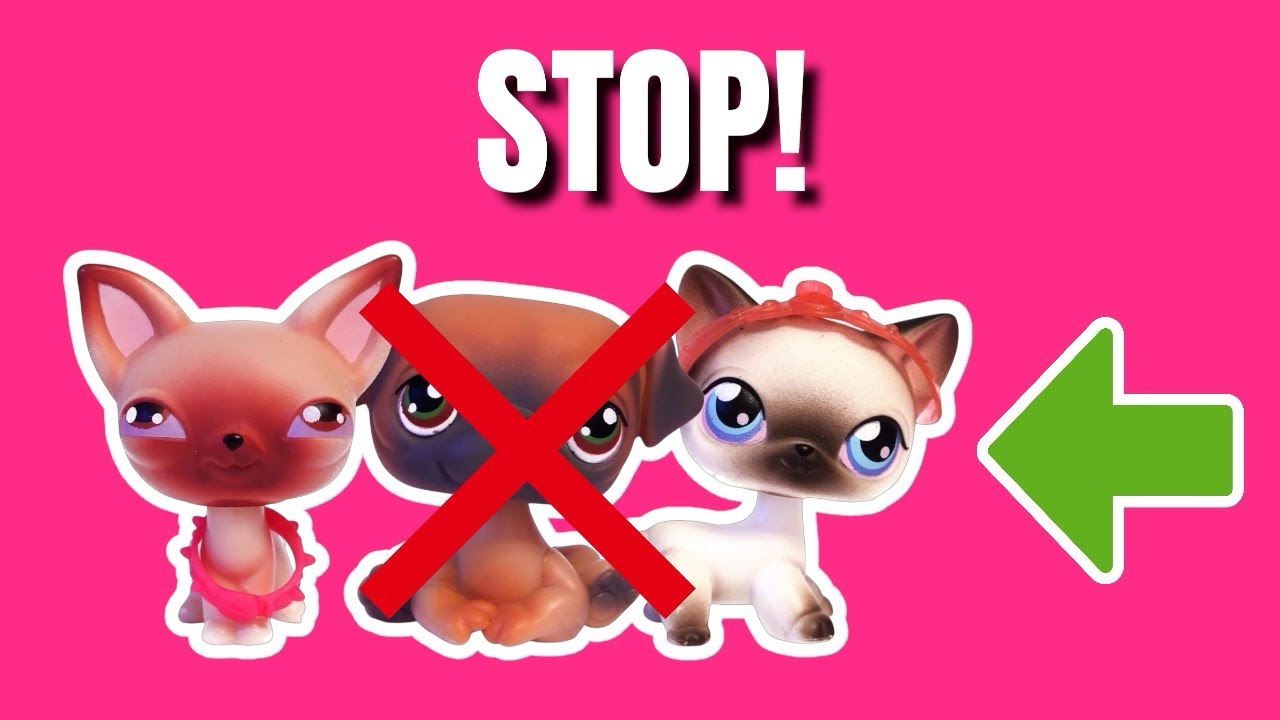 Руководство для начинающих по коллекционированию Littlest Pet Shop (избегайте этих ошибок)