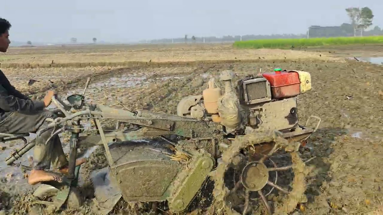 পাওয়ার টিলার দিয়ে ধানক্ষেত কাদা করার অসাধারণ দৃশ্য Power Tiller Mud Plowing