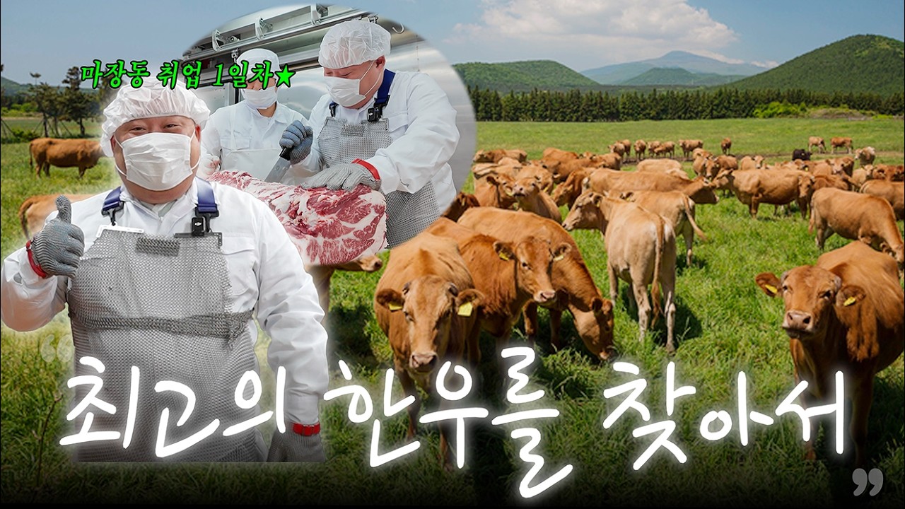 [구독자 이벤트] 이번 설 명절, 한우 선물세트 어떠세요? | 화려한우 X 비밀이야부티크