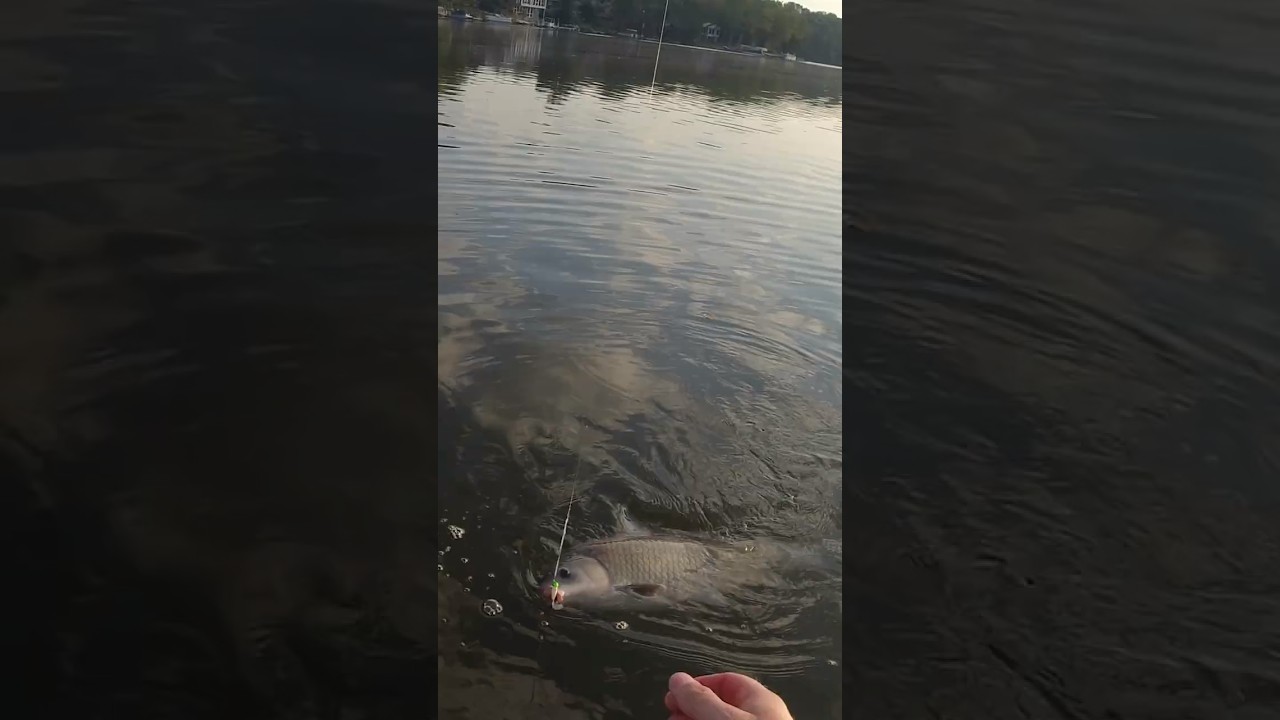 This Big Fish Wanted a Jig!