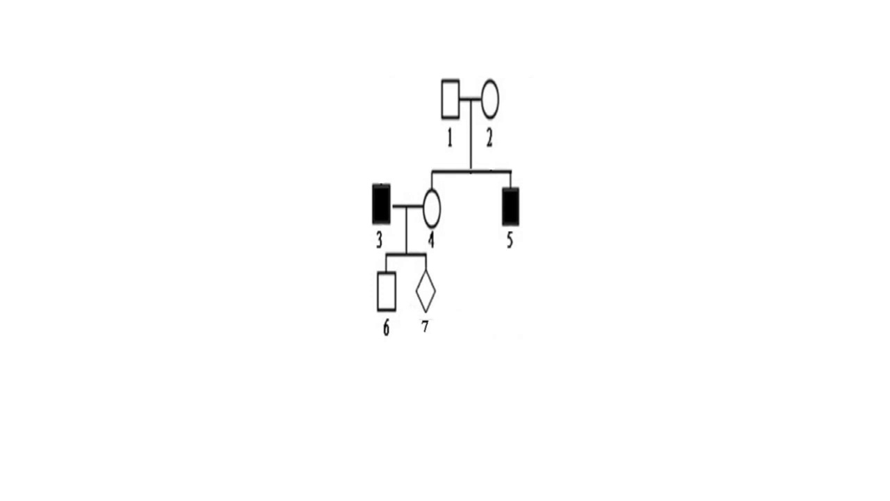 Grade 12 # 5 Risk calculation ( X-linked recessive)