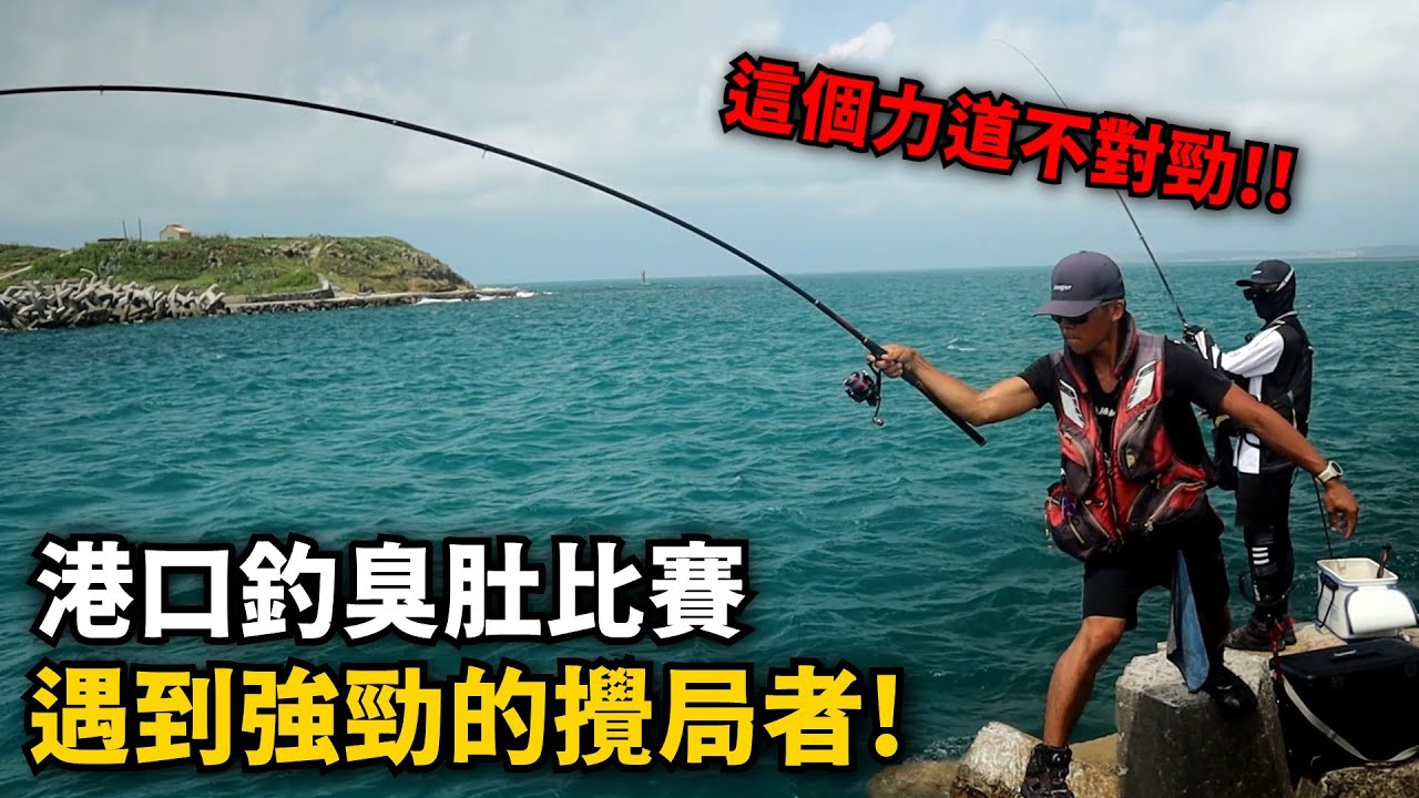 【港釣】港口比賽釣臭肚 ，但是途中遇到強力的攪局者!! 這個力道明顯不是臭肚喔! 釣臭肚到底是阿波強還是籤仔強呢~?