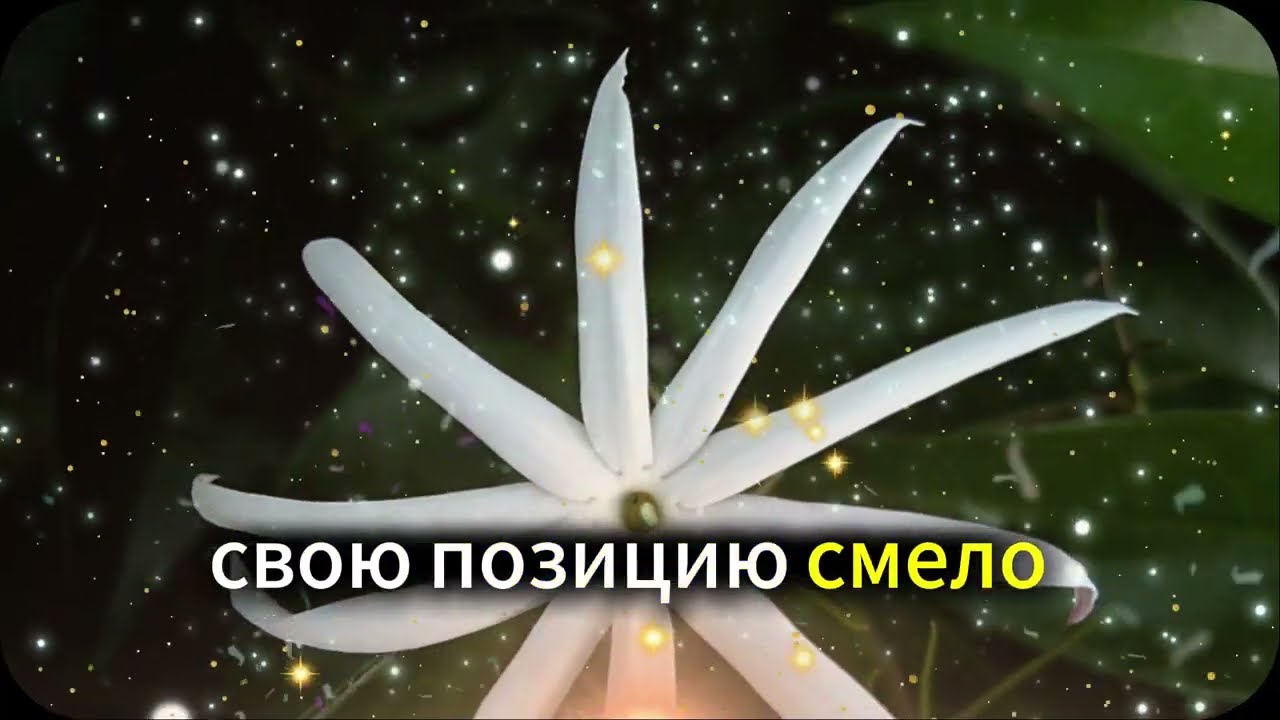 2 МОЩНЫХ СЛОВА, КОТОРЫЕ ЗАСТАВЯТ ЛЮБУЮ ЖЕНЩИНУ ЖЕЛАТЬ ВАС | СТОИЦИЗМ